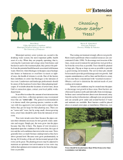 Choosing &ldquo;Sewer Safer&rdquo; Trees? Extension