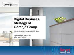 Digital Business Strategy of Gorenje Group