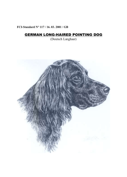 german long-haired pointing dog