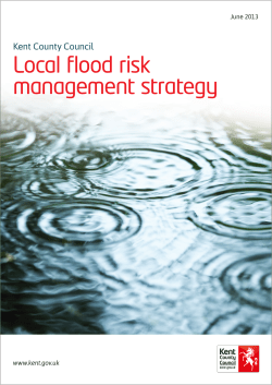 Local flood risk management strategy