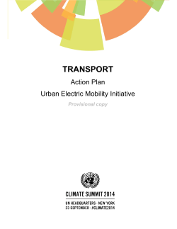 Urban Electric Mobility Initiative &ndash; Action Plan