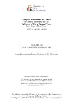 Marginal Abatement Cost Curves in General Equilibrium