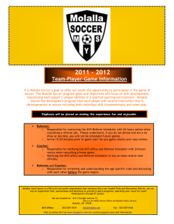 Team-Player-Game Information