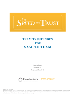 Team Trust Index Example
