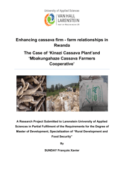 Enhancing cassava firm - farm relationships in Rwanda The Case of
