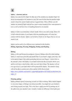 Spikey &ndash; structure and use Spikey was conceived by Sapir Tal after