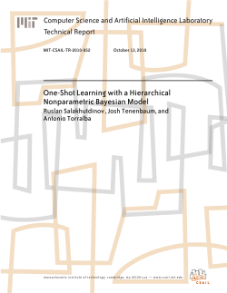 One-Shot Learning with a Hierarchical Nonparametric