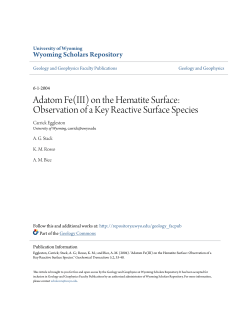 Adatom Fe(III) on the Hematite Surface: Observation of a Key