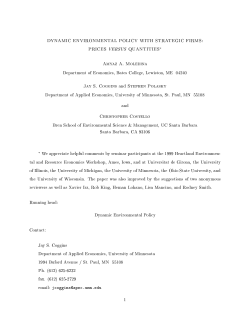 DYNAMIC ENVIRONMENTAL POLICY WITH STRATEGIC FIRMS
