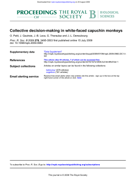 Collective decision-making in white