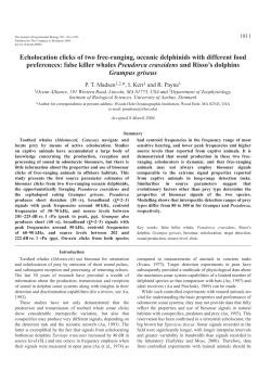 Echolocation clicks of two free-ranging, oceanic delphinids with
