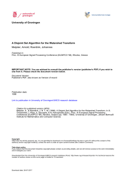 University of Groningen A Disjoint Set Algorithm for the Watershed