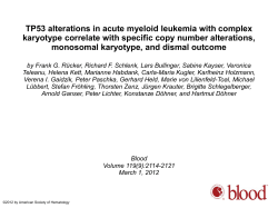 Powerpoint - Blood Journal