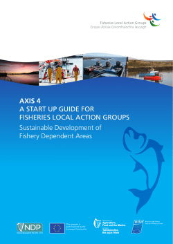 A Start Up Guide for Fisheries Local Action Groups