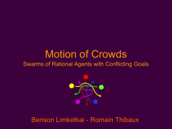 Motion of Crowds -- Swarms of Rational Agents with Conflicting Goals