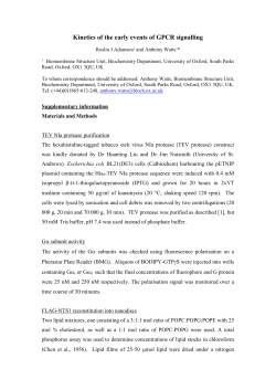 Kinetics of the early events of GPCR signalling