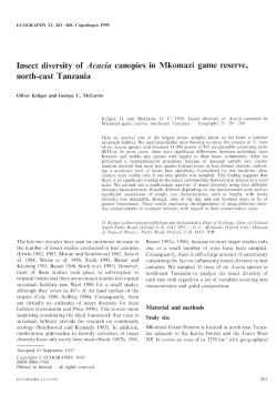 Insect diversity of Acacia canopies in Mkomazi game reserve, north