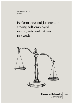 Performance and job creation among self-employed