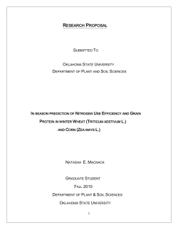 Example, MS Proposal, Natasha Macnack