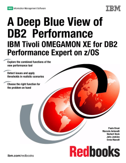 A Blue View of DB2 Performance