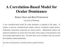 A new correlation-based model for ocular