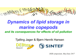 Dynamics of lipid storage in marine copepods and its consequences