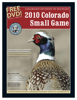 Small Game Hunting - 5 Acre Land, 35 Acre Land | San Acacio, CO