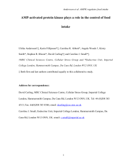 AMP-activated protein kinase plays a role in the control of