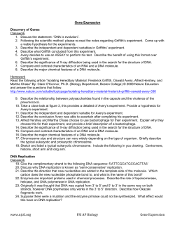 Gene Expression Chapter Problems | 1.2MB