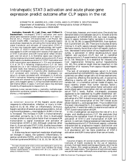 Intrahepatic STAT-3 activation and acute phase gene expression