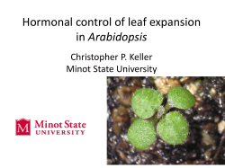 Slide 1 Slide 1 wounded detached