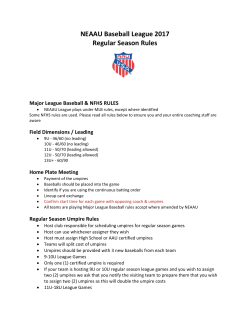 NEAAU Baseball League 2017 Regular Season Rules