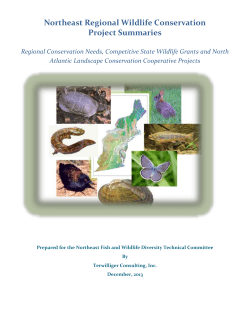Northeast Regional Wildlife Conservation Project