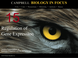 Chapter 15 ppt