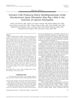 Schwann Cells Producing Matrix