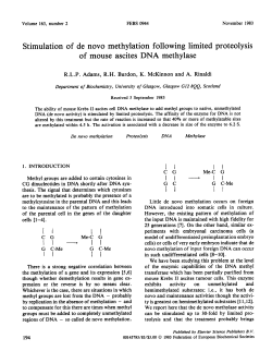 Stimulation of de novo methylation following limited proteolysis of