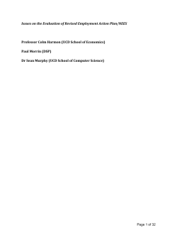 Issues on the Evaluation of Revised Employment Action