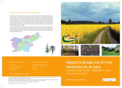production and use of pure vegetable oil in jable
