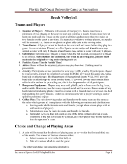 Beach Volleyball Teams and Players