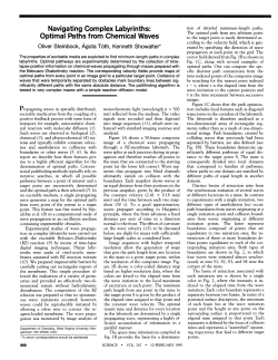 Navigating Complex Labyrinths: Optimal Paths from Chemical Waves