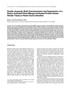 Double Jeopardy: Both Overexpression and