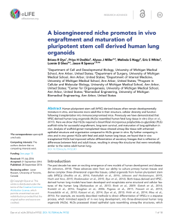 A bioengineered niche promotes in vivo engraftment and maturation