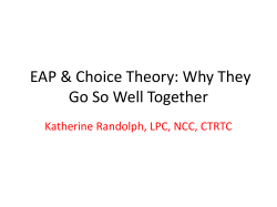 Choice Theory: Total Behavior Car