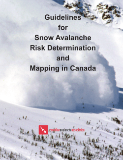 Guidelines for Snow Avalanche Risk Determination and Mapping in