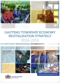 GAUTENG TOWNSHIP ECONOMY REVITALISATION STRATEGY