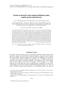Broods of attractive three-spined stickleback males require greater