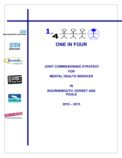 One in Four commissioning strategy 2010
