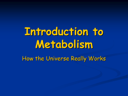 Introduction to Metabolism