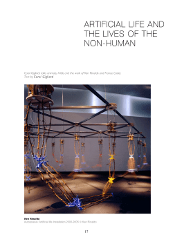 ARTIFICIAL LIFE AND THE LIVES OF THE NON