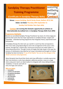 Sandplay Therapy Practitioner Training Programme